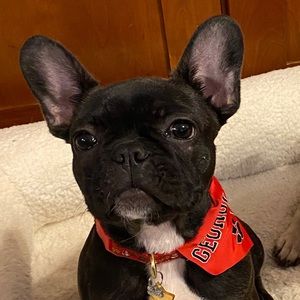 Meet your Posher, Laura